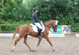 Thesi 508 Mglingen